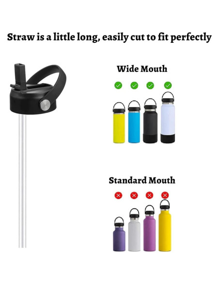 Paquete de 10 Pajitas Reemplazo Hydro Flask 24.13 cm Libre BPA