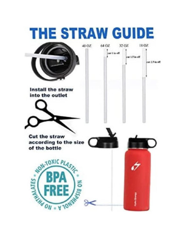 Paquete de 10 Pajitas Reemplazo Hydro Flask 24.13 cm Libre BPA