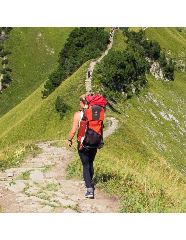 Paquete de 10 Pajitas Reemplazo Hydro Flask 24.13 cm Libre BPA