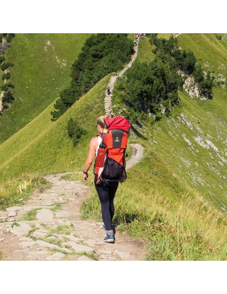 Paquete de 10 Pajitas Reemplazo Hydro Flask 24.13 cm Libre BPA