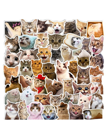 100 Stickers de Gato GYZLK Impermeables para Niños y Adolescentes