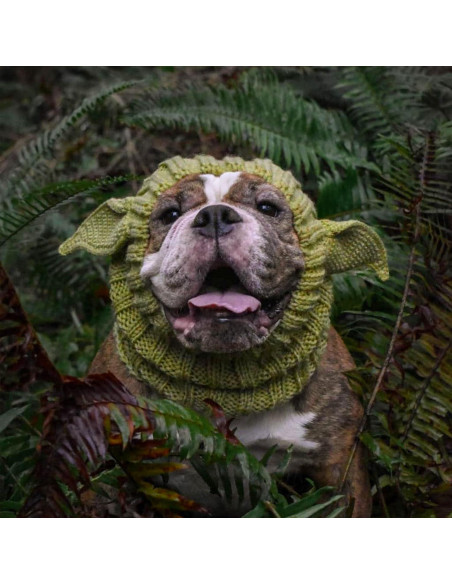 Disfraz Snood Baby Yoda Verde Mediano Zoo Snoods para Perros Disfraz Snood Baby Yoda Verde Mediano Zoo Snoods para Perros