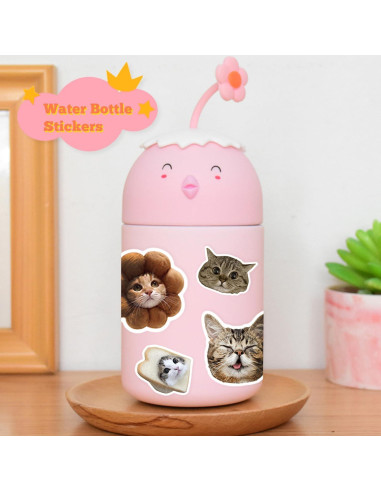 100 Stickers de Gato GYZLK Impermeables para Niños y Adolescentes