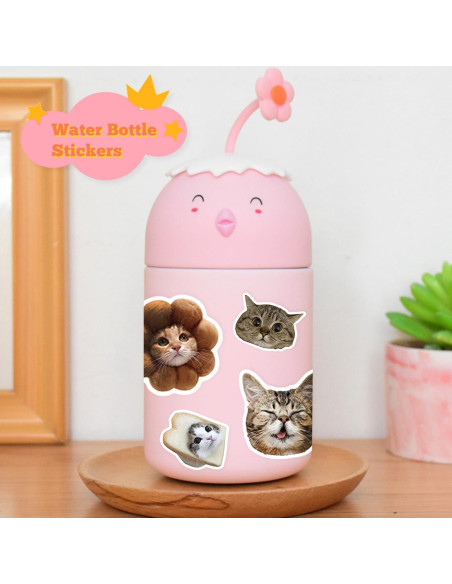 100 Stickers de Gato GYZLK Impermeables para Niños y Adolescentes
