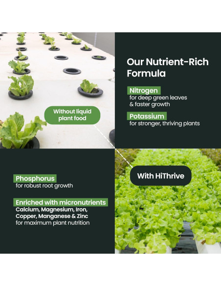 Fertilizante Líquido Hidropónico HiThrive 0.47L - NPK 4-3-6