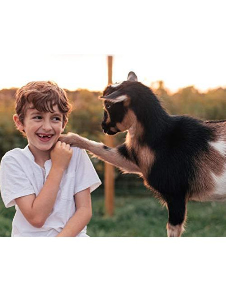 Jabón de Leche de Cabra Caprina Fresh Menta Eucalipto 3 Pzas