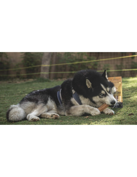 Masticables Dentales para Perros Dogsee Chew Grande 130g