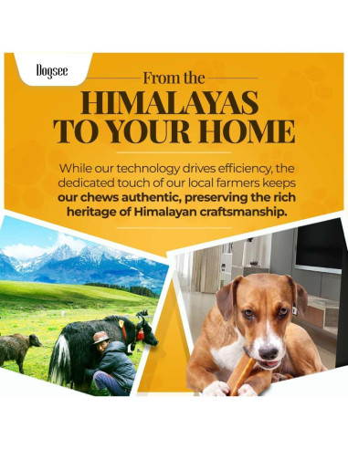 Masticables Dentales para Perros Dogsee Chew Grande 130g