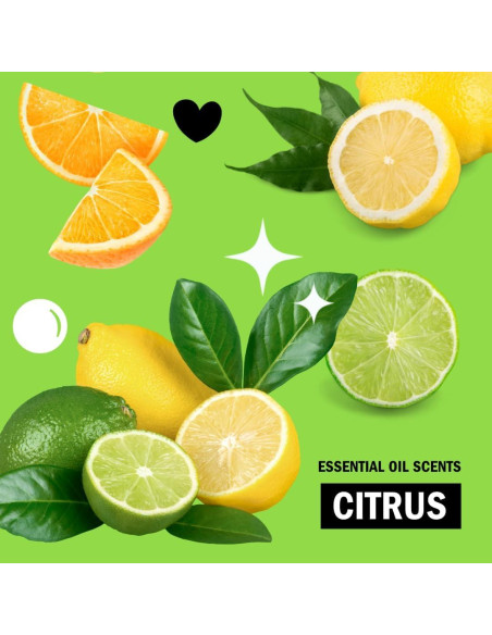 Fregado Multiusos Molly's Suds 2 Paquetes Aroma Cítricos