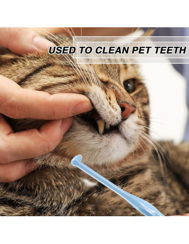 12 Cepillos Interdentales Suaves Patelai con Tapa Protectora