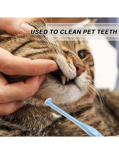 12 Cepillos Interdentales Suaves Patelai con Tapa Protectora