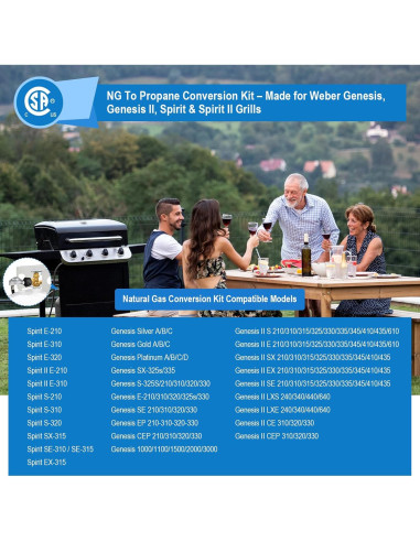 Kit de Conversión Gas Natural a Propano FJXBYWM para Parrillas Weber