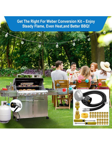 Kit de Conversión Gas Natural a Propano FJXBYWM para Parrillas Weber