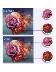 Cartuchos de tinta Wolfgray LC61 LC65 compatibles 12 unidades 2