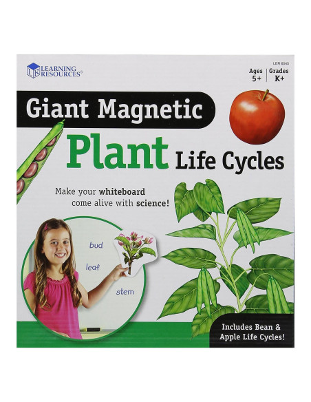 Ciclo de Vida de Plantas Magnético Gigante Learning Resources - 12 Piezas