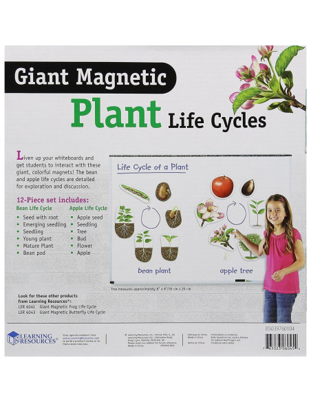 Ciclo de Vida de Plantas Magnético Gigante Learning Resources - 12 Piezas