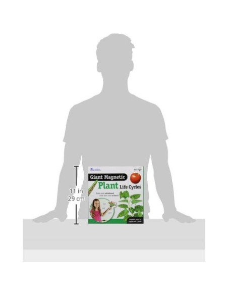 Ciclo de Vida de Plantas Magnético Gigante Learning Resources - 12 Piezas