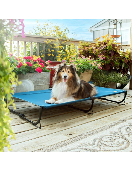 Cama Elevada Plegable para Perros Grande Canine Canyon Azul