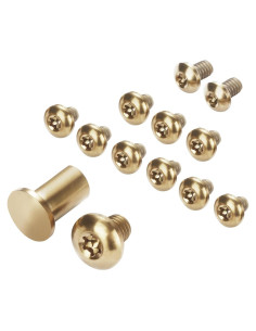 Juego de Tornillos y Pivotes Torx A.I.FORCE 13 Pcs Titanio Dorado