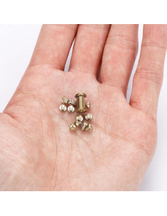 Juego de Tornillos y Pivotes Torx A.I.FORCE 13 Pcs Titanio Dorado 2