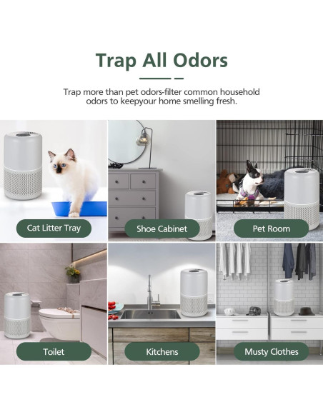 Filtro HEPA H13 para Purificador LEVOIT Core P350 - 2 Pzas