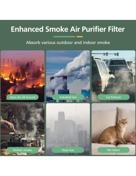 Filtro HEPA H13 para Purificador LEVOIT Core P350 - 2 Pzas