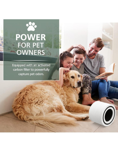 Filtro HEPA H13 para Purificador LEVOIT Core P350 - 2 Pzas