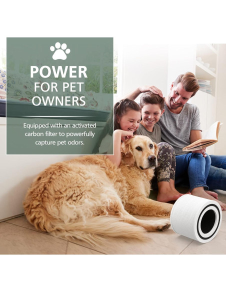 Filtro HEPA H13 para Purificador LEVOIT Core P350 - 2 Pzas