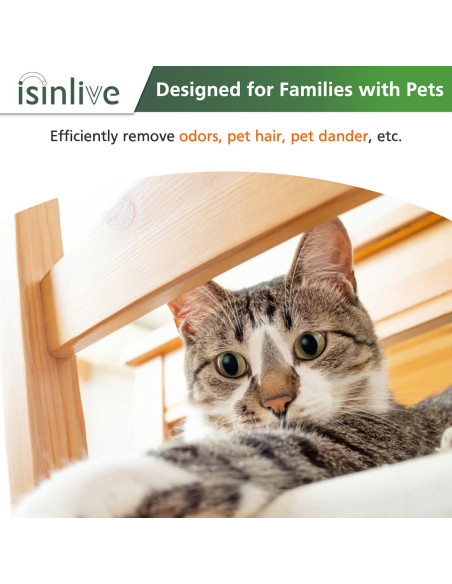 Filtro HEPA H13 para Purificador LEVOIT Core P350 - 2 Pzas