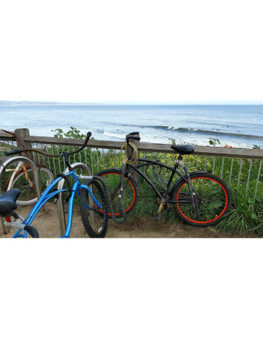 Soporte para Longboard MBB de Moved By Bikes, 11.34 kg