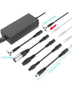 Cargador de Scooter 42V 2A con 6 Enchufes Compatibles 2