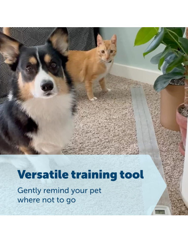 Alfombra de Entrenamiento PetSafe ScatMat 116x8 cm Ajustable