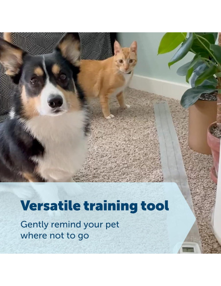 Alfombra de Entrenamiento PetSafe ScatMat 116x8 cm Ajustable