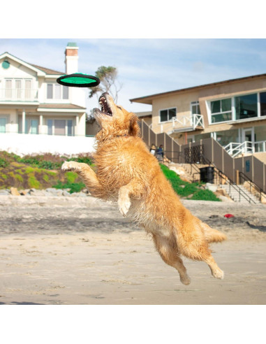 Disco Volador para Perros Hyper Pet 22,86 cm Paquete de 2