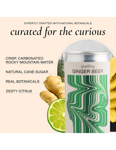 Cerveza de Jengibre Espumosa Strongwater - 12 Latas 250 ml