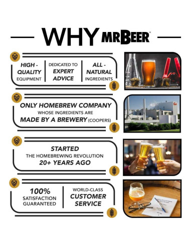 Kit de Cerveza Artesanal Mr. Beer 4 Galones DIY Todo Incluido
