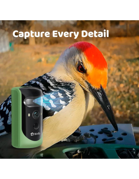 Comedero Inteligente Birdfy 2 con Cámara AI y Solar