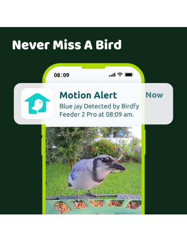 Comedero Inteligente Birdfy 2 con Cámara AI y Solar