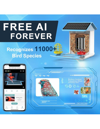 Cámara Comedero para Aves BROAIMX HD 1080P Solar 64GB