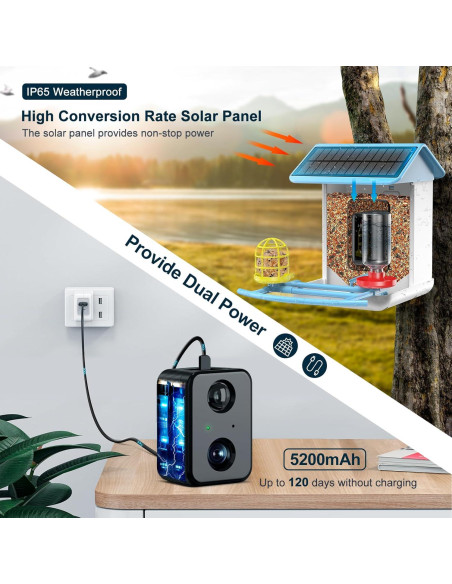 Cámara Comedero para Aves BROAIMX HD 1080P Solar 64GB