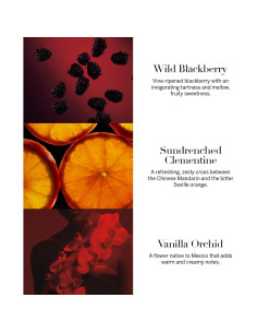 Spray Corporal Muy Sexy Victoria's Secret 74.9 ml - Notas de Vainilla 2