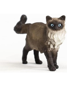 Figura de Gato Ragdoll Schleich 3,81 cm para Niños 3+ 2