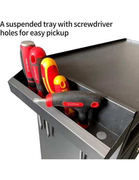 Carro de herramientas TANKSTORM TZ8 con 1 cajón y ruedas