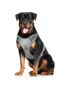 Arnés para Perros Grandes Hipubby Ajustable Gris L