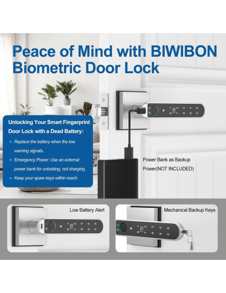 Cerradura Biométrica Inteligente BIWIBON BCA-02 Plata