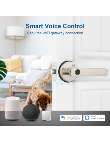 Cerradura Biométrica BAFUWEIY CA02-N con App y Huella