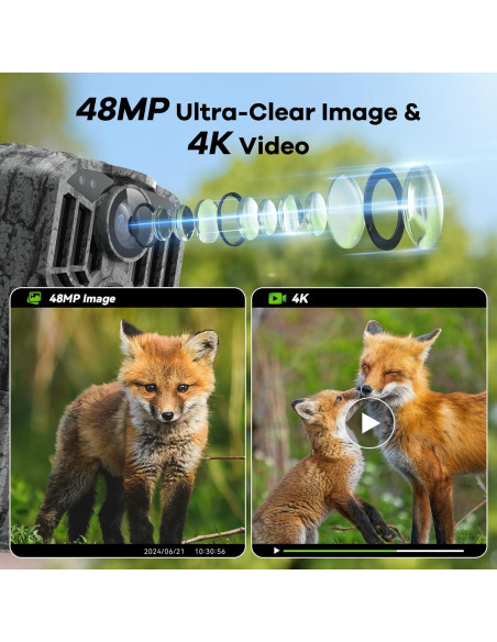 Cámara de sendero DEATTI 48MP 4K WiFi Bluetooth con 8 baterías