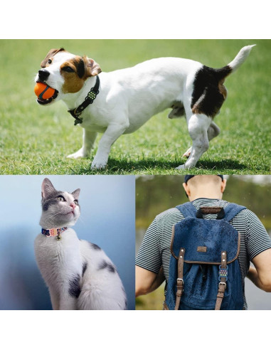 Soporte para Collar de Perro Airtag SOBERNA - Funda Silicona