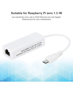 Adaptador Ethernet Micro USB a RJ45 Zopsc para Raspberry Pi 2