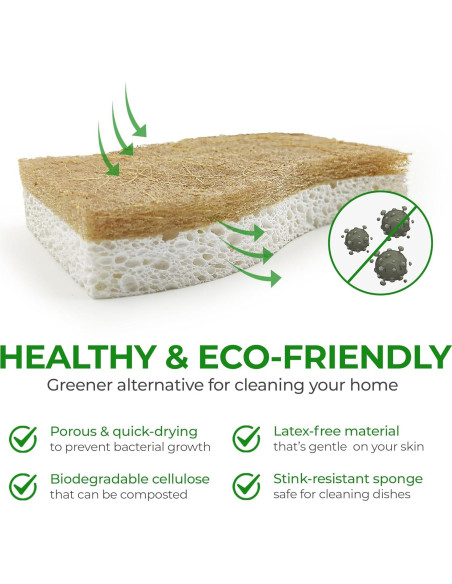 Esponjas de Cocina Ecológicas AIRNEX - 12 Unidades Biodegradables